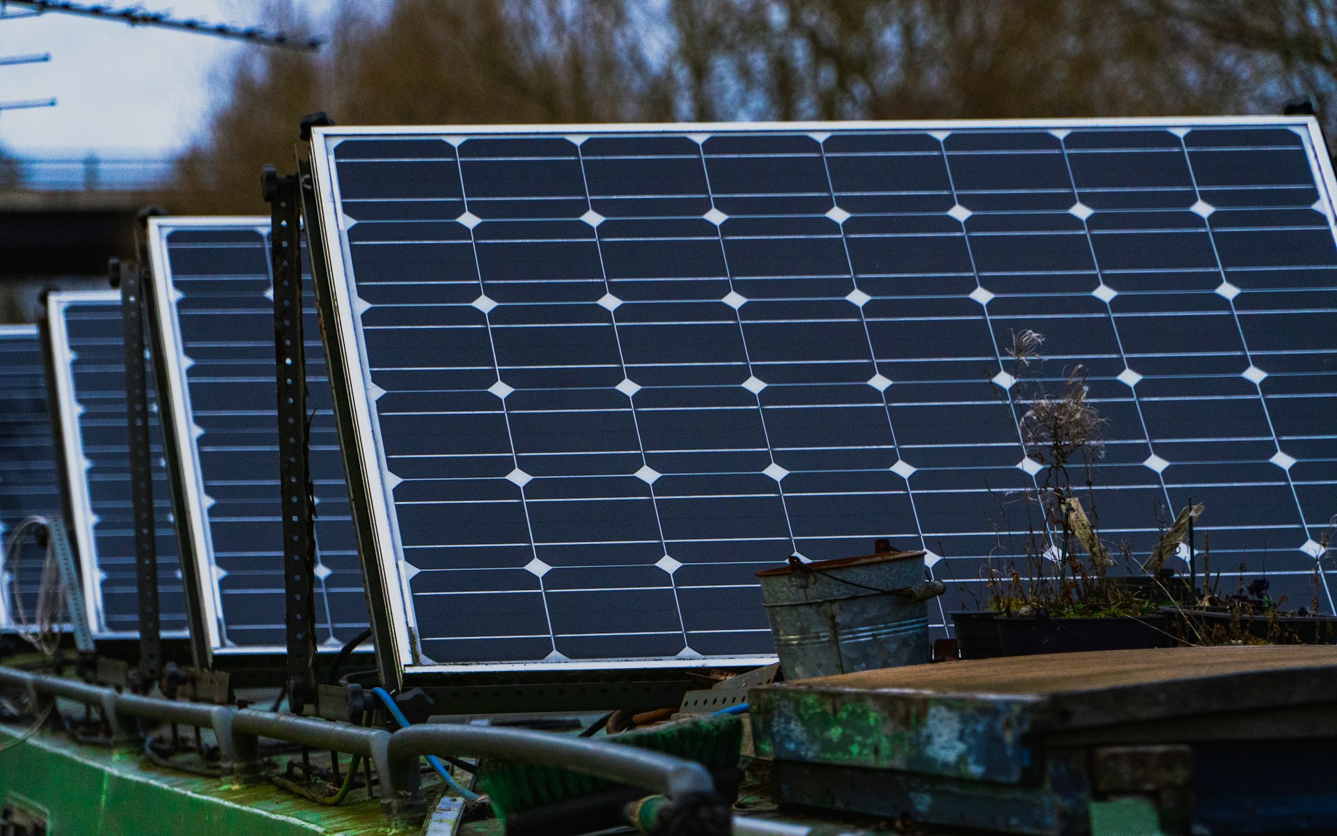 Green Web Hosting: The Best Eco-Friendly WordPress Hosts 🌱